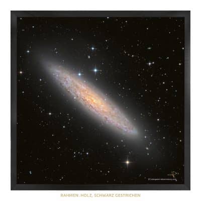 Astrobild NGC 253