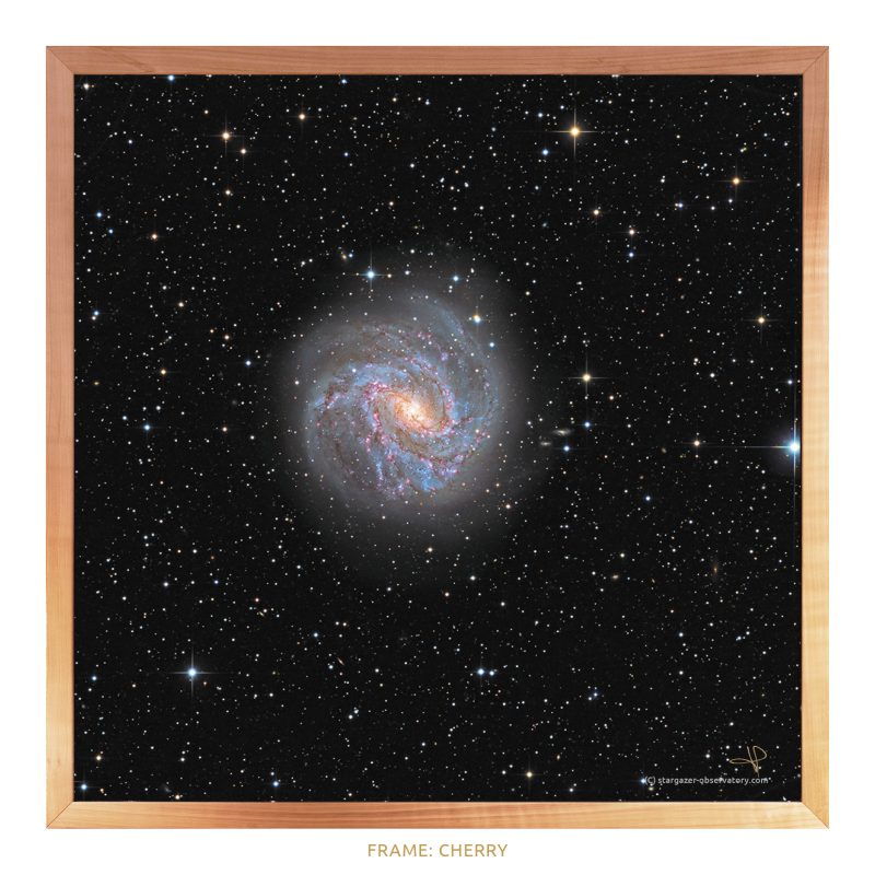 M 83 Astroimage