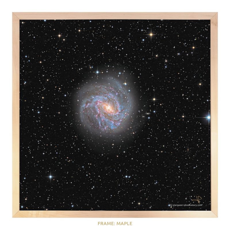 M 83 Astroimage