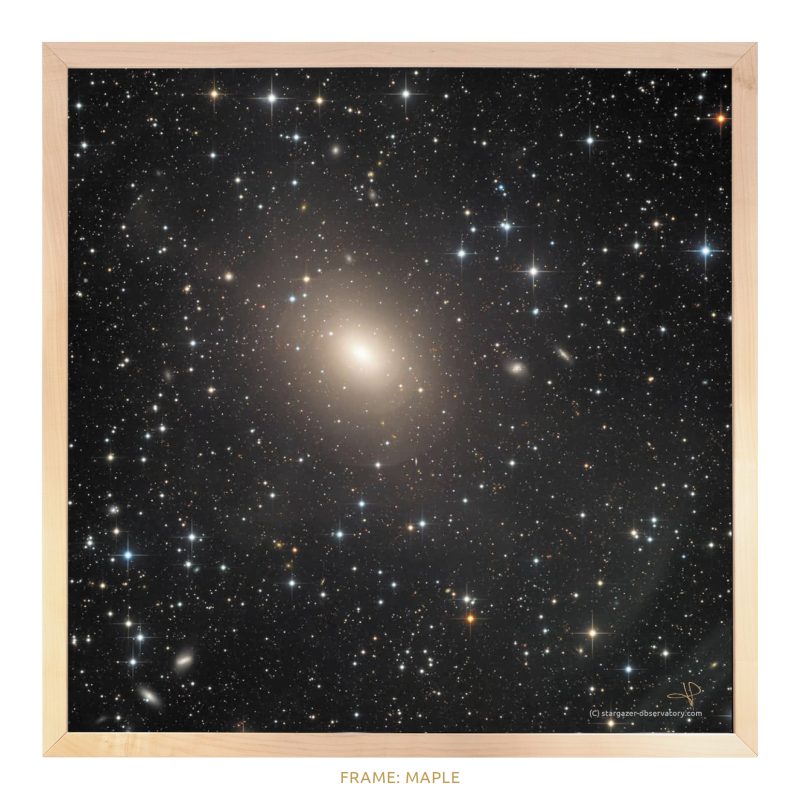 NGC 3923 – Bild 3