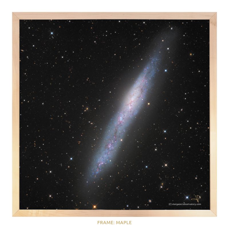 NGC 55 - Image 3