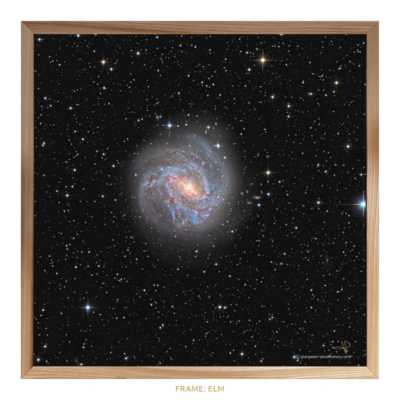 M 83 Astroimage