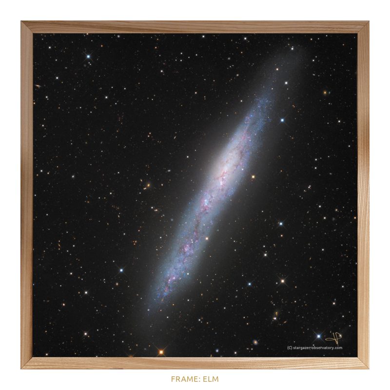 NGC 55 - Image 4