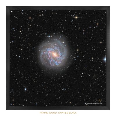 M 83 Astroimage