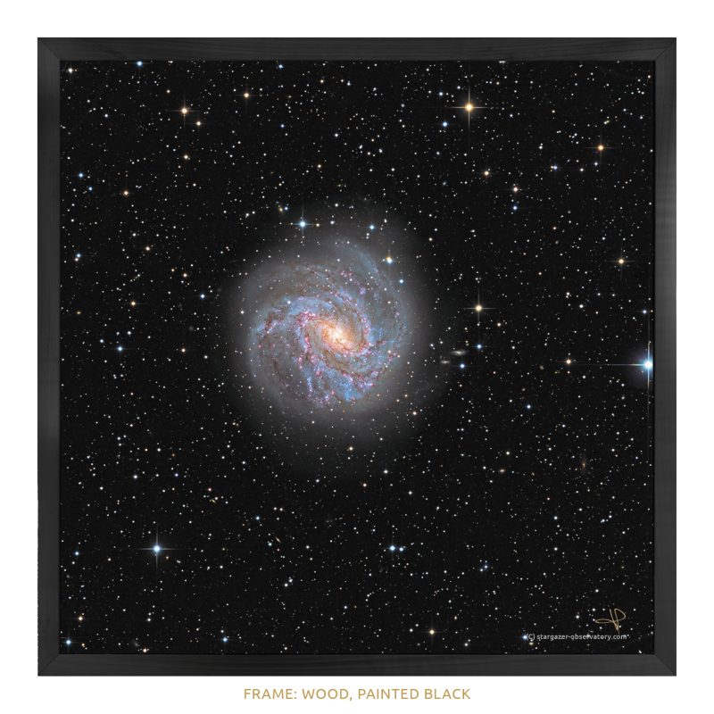 M 83 Astroimage