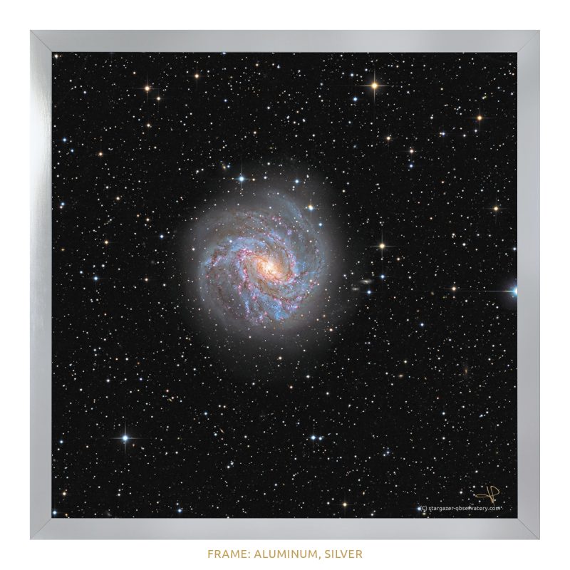 M 83 Astroimage