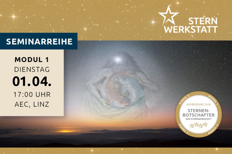 The Magic of Stars and the End of the Night – Bild 3